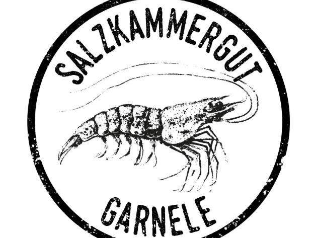 IMG_6657-1-jasw1wxxrysz11g