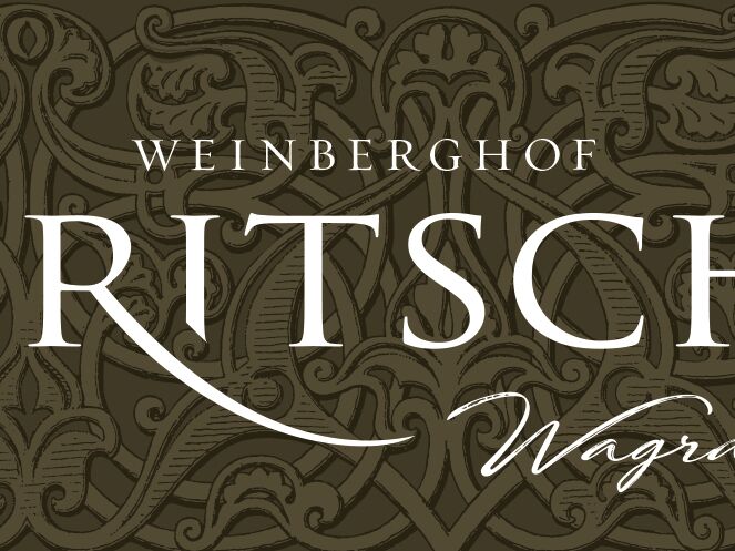 Fritsch-Logo-mit-dunklem-Hintergrund-aa22b6wn9am4erv